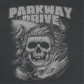 Parkway Drive Skull Surf Black T-Shirt, view 2