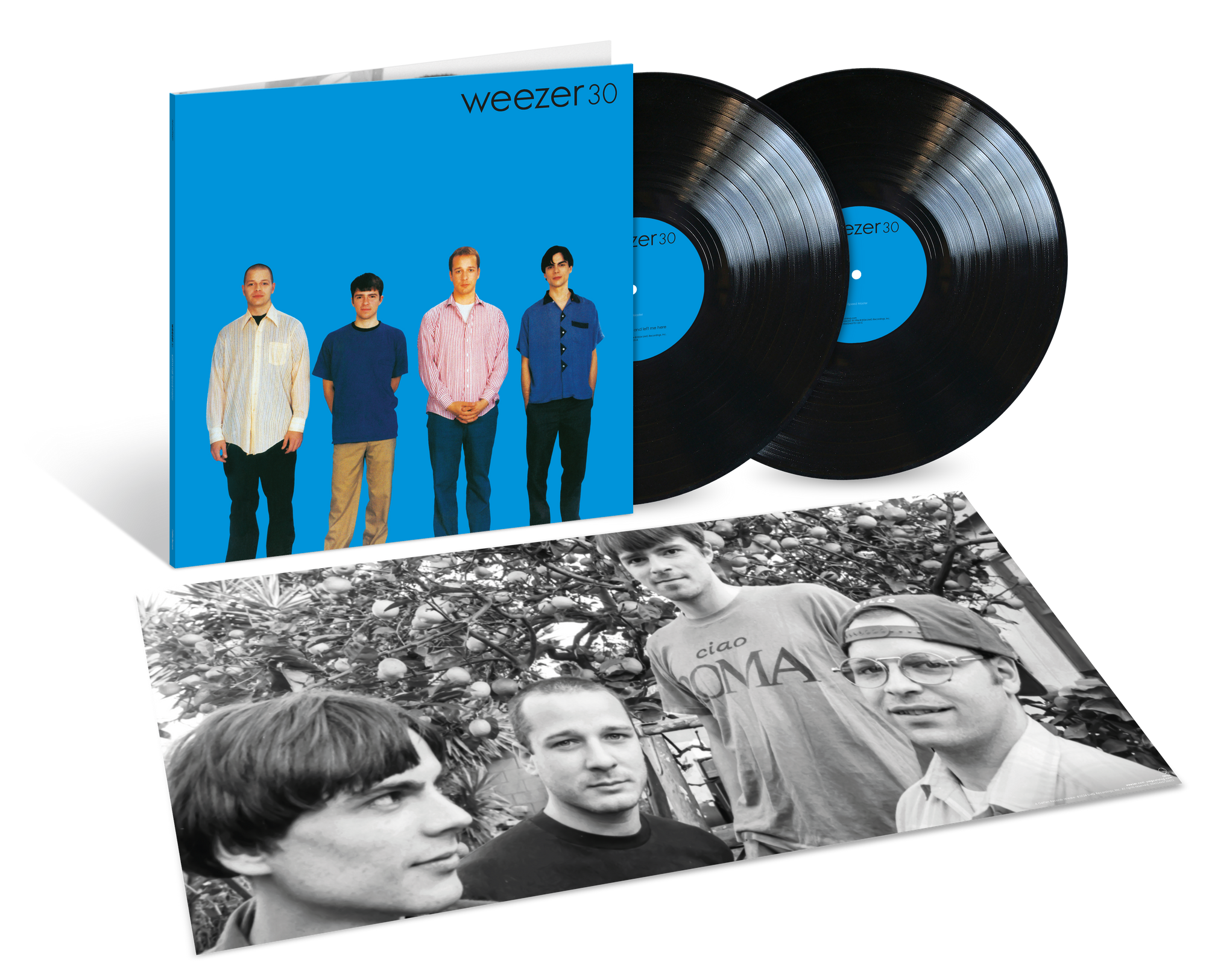 Weezer (Blue Album) 30th Anniversary 2LP 45rpm Half-Speed Mastering (I Weezer (Blue Album) 30th Anniversary 2LP 45rpm Half-Speed Mastering (I
