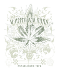Cheech & Chong 420 Established 1974 T-Shirt, view 2